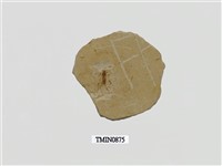 藏品(白堊紀小蝗蟲化石)的圖片